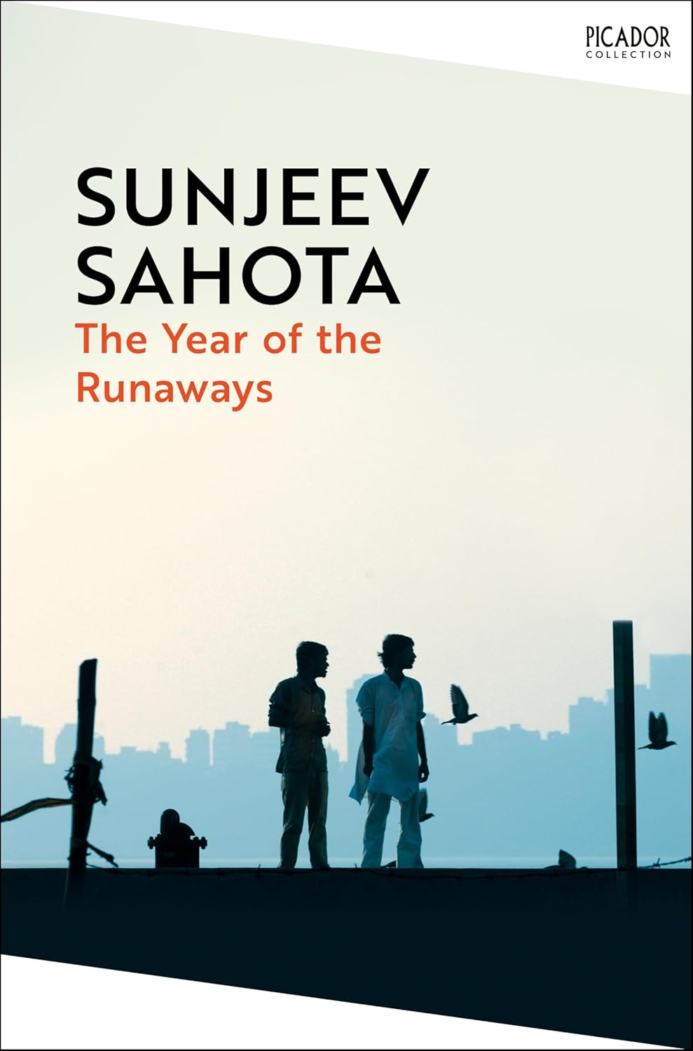 The Year of the Runaways By Sunjeev Sahota