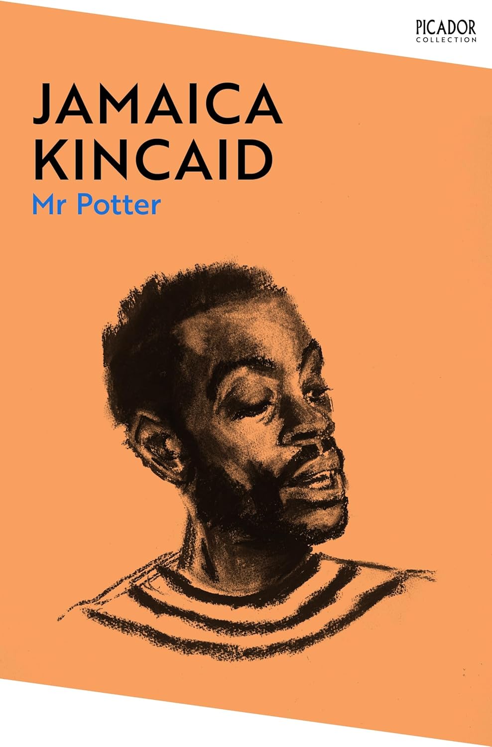 Mr. Potter By Jamaica Kincaid