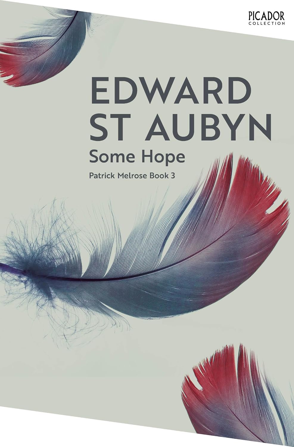 Some Hope By Edward St. Aubyn - Patrick Melrose #3