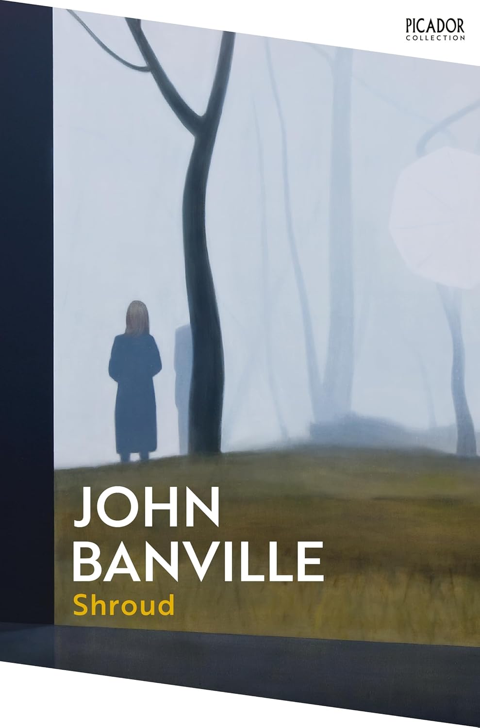 Shroud By John Banville - The Cleave Trilogy #2