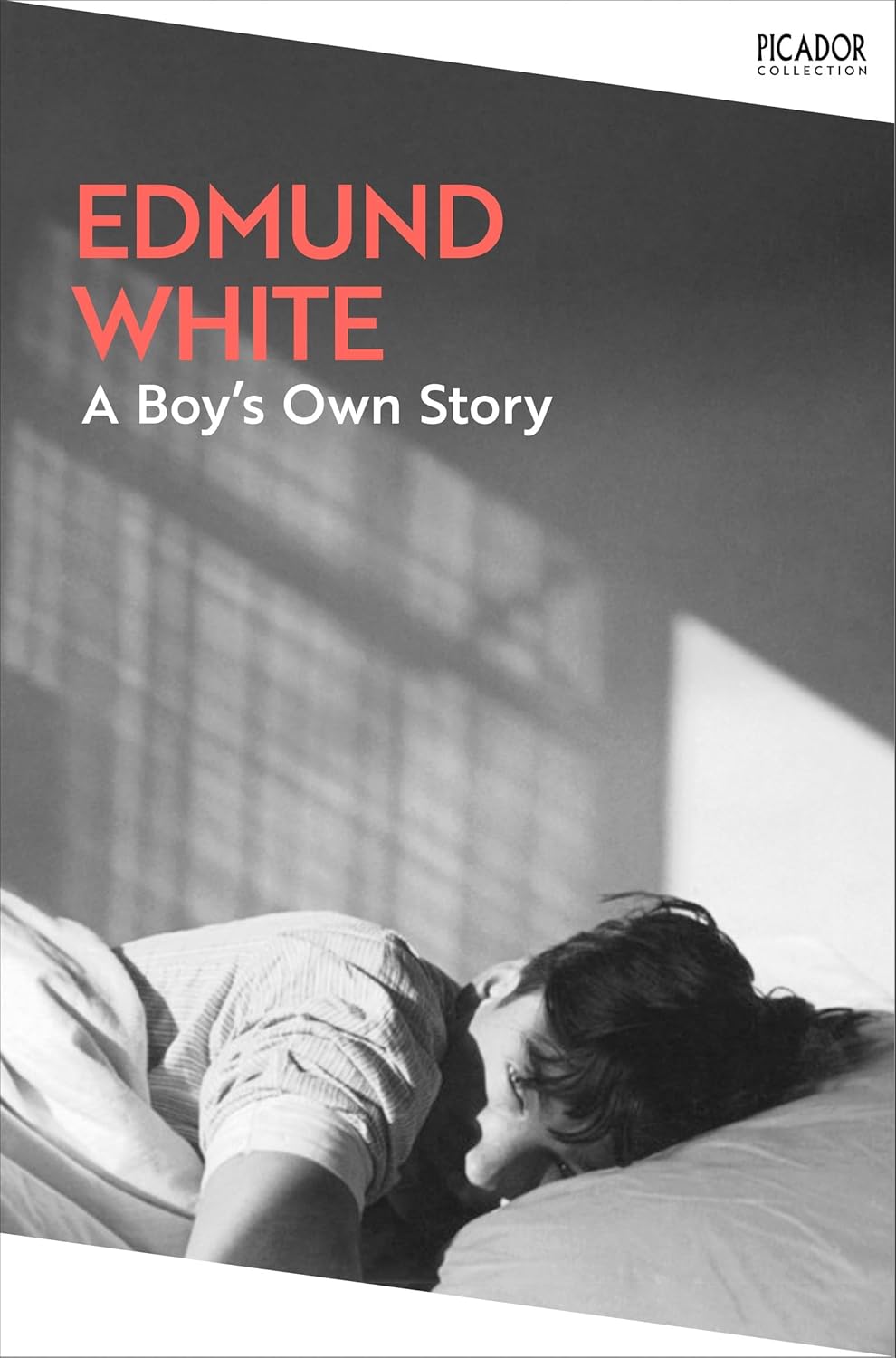 A Boy's Own Story By Edmund White - The Edmund Trilogy #1