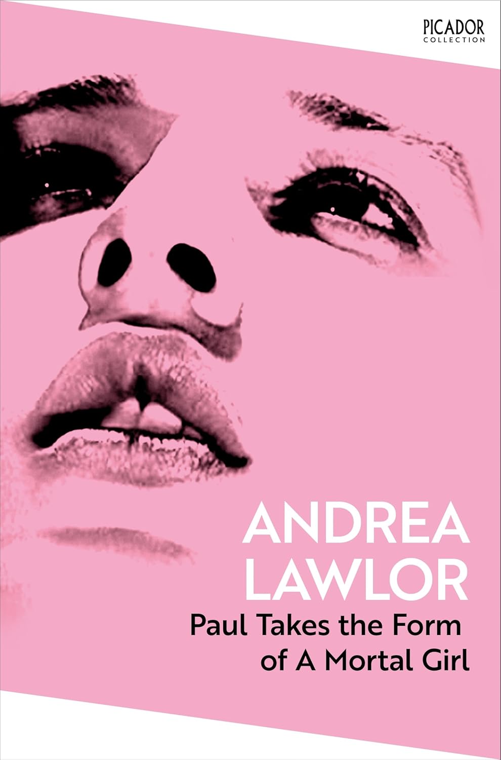 Paul Takes the Form of a Mortal Girl By Andrea Lawlor