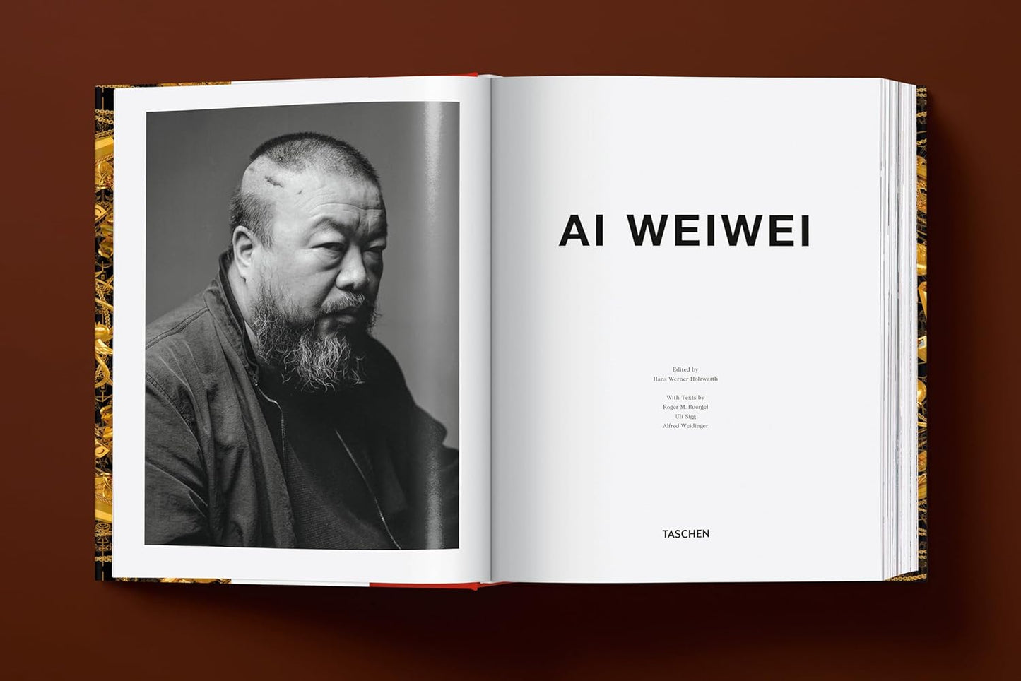 Ai Weiwei. Updated Edition (Hardback)