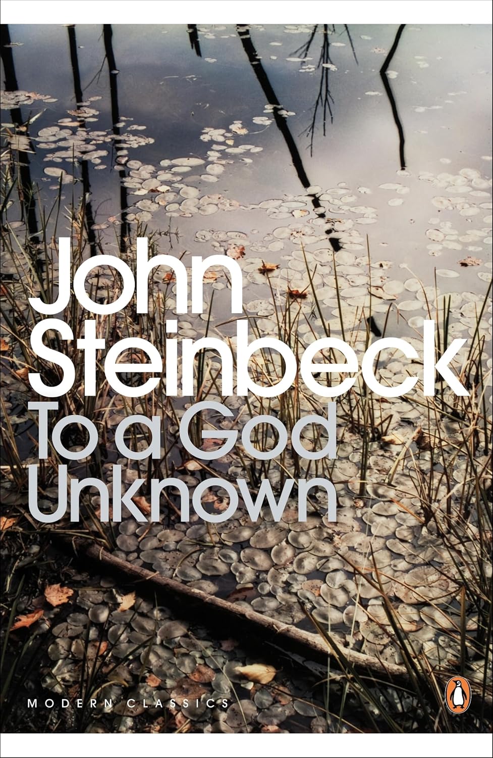 To a God Unknown By John Steinbeck