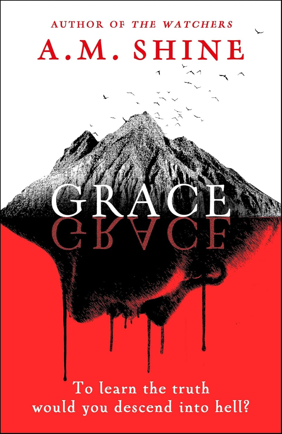 Grace by A.M. Shine (Hardback)