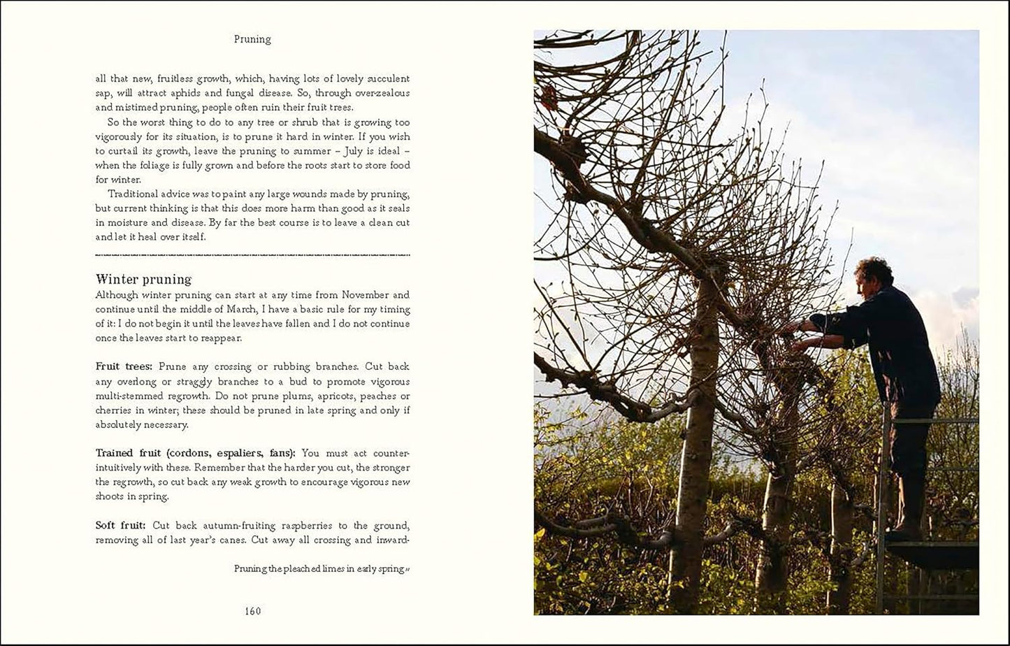 Down to Earth (Hardback)