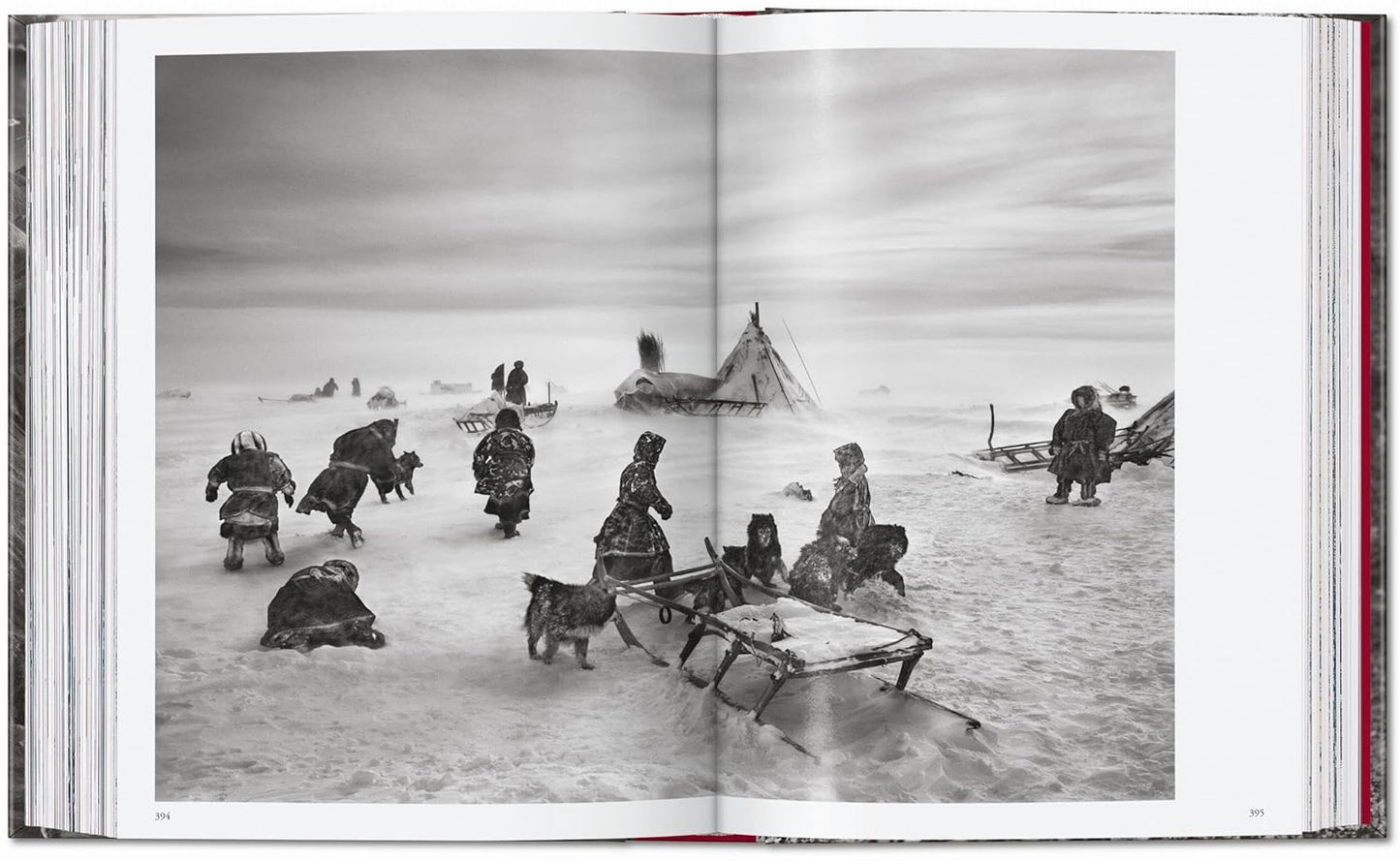 Sebastião Salgado. Genesis. 45th Ed. - 45th Edition (Hardback)