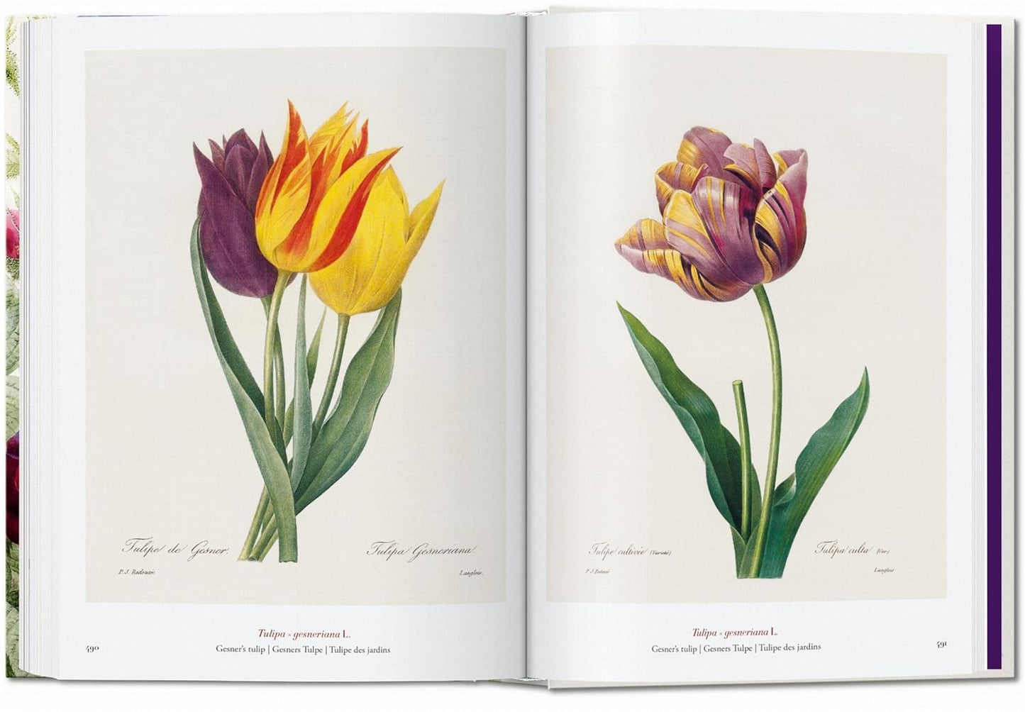 Redouté. The Book of Flowers. 45th Ed. - 45th Edition (Hardback)