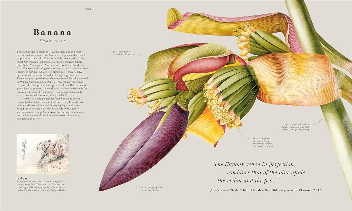 Atlas of Botany: An Exploration of Plants Across Time and Around the World (Hardback)