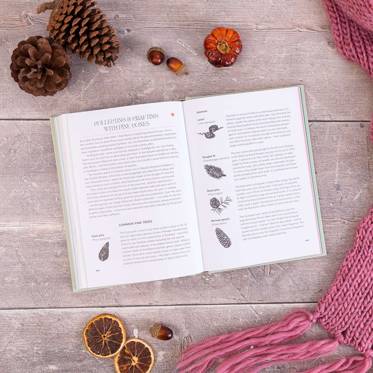 Slow Seasons: A Creative Guide to Reconnecting with Nature the Celtic Way (Hardback)