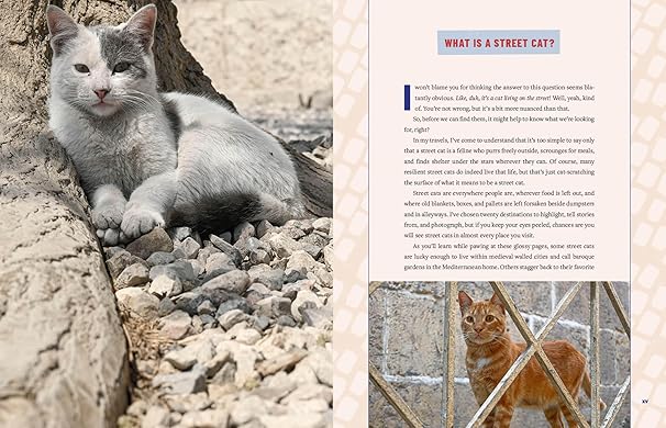 Street Cats & Where to Find Them: The Most Feline-Friendly Cities and Attractions Around the World (Hardback)