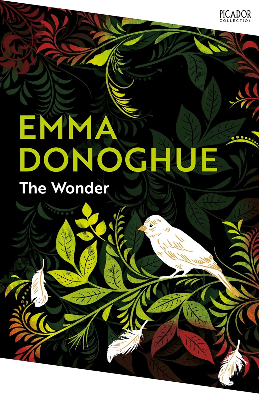 The Wonder By Emma Donoghue