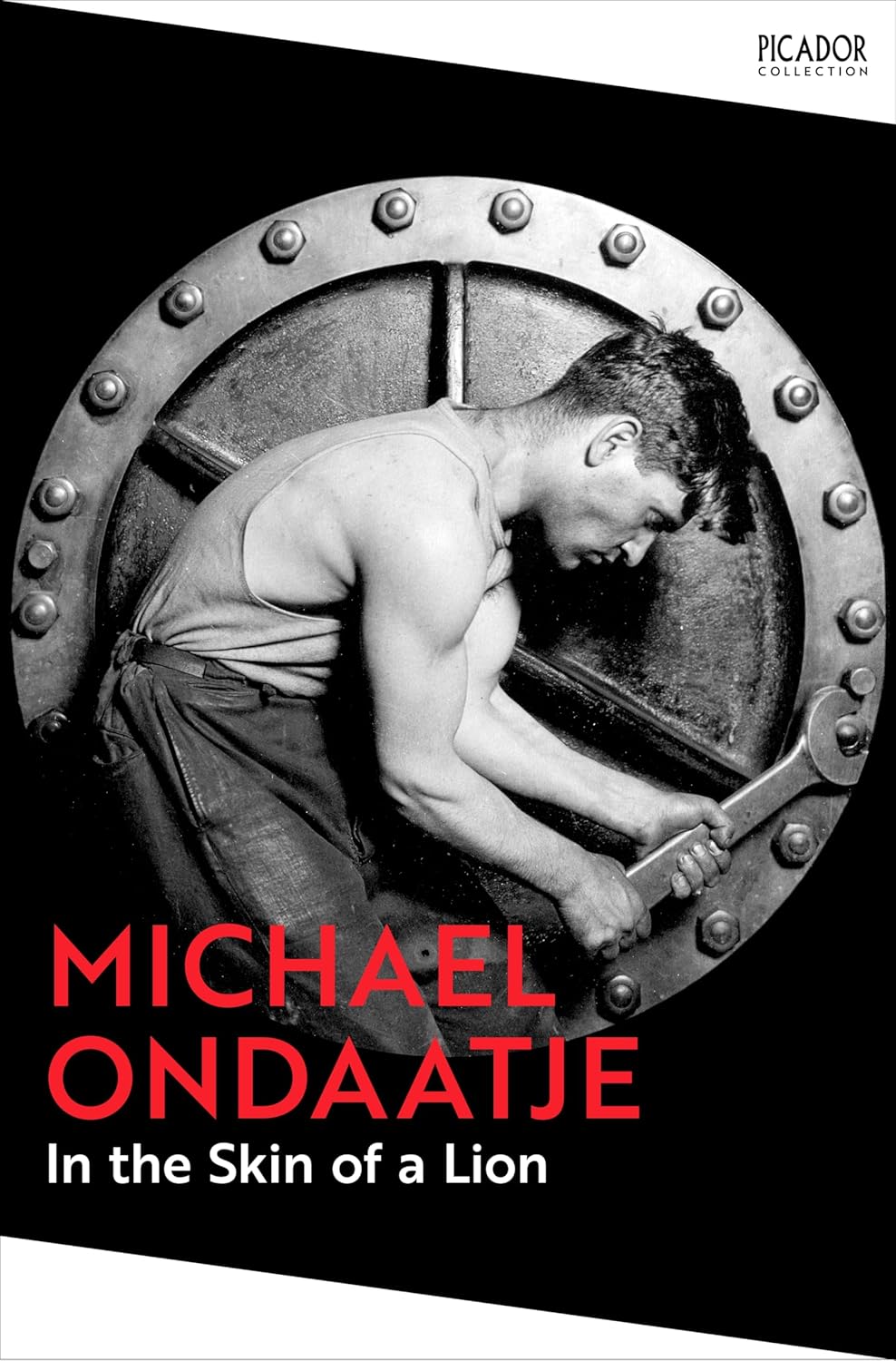 In the Skin of a Lion By Michael Ondaatje