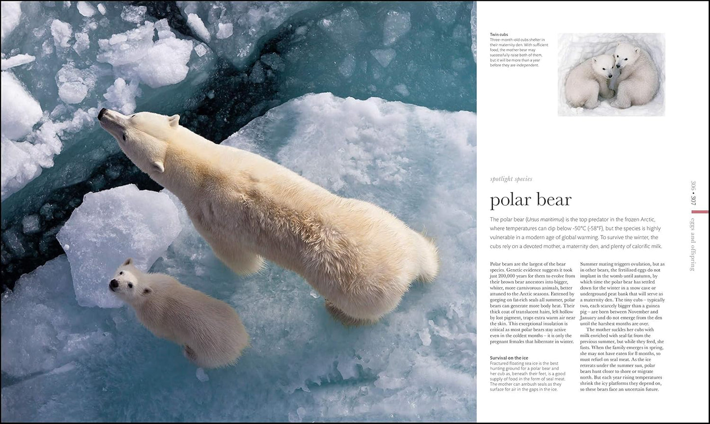 The Science of Animals: Inside their Secret World - DK Secret World Encyclopedias (Hardback)