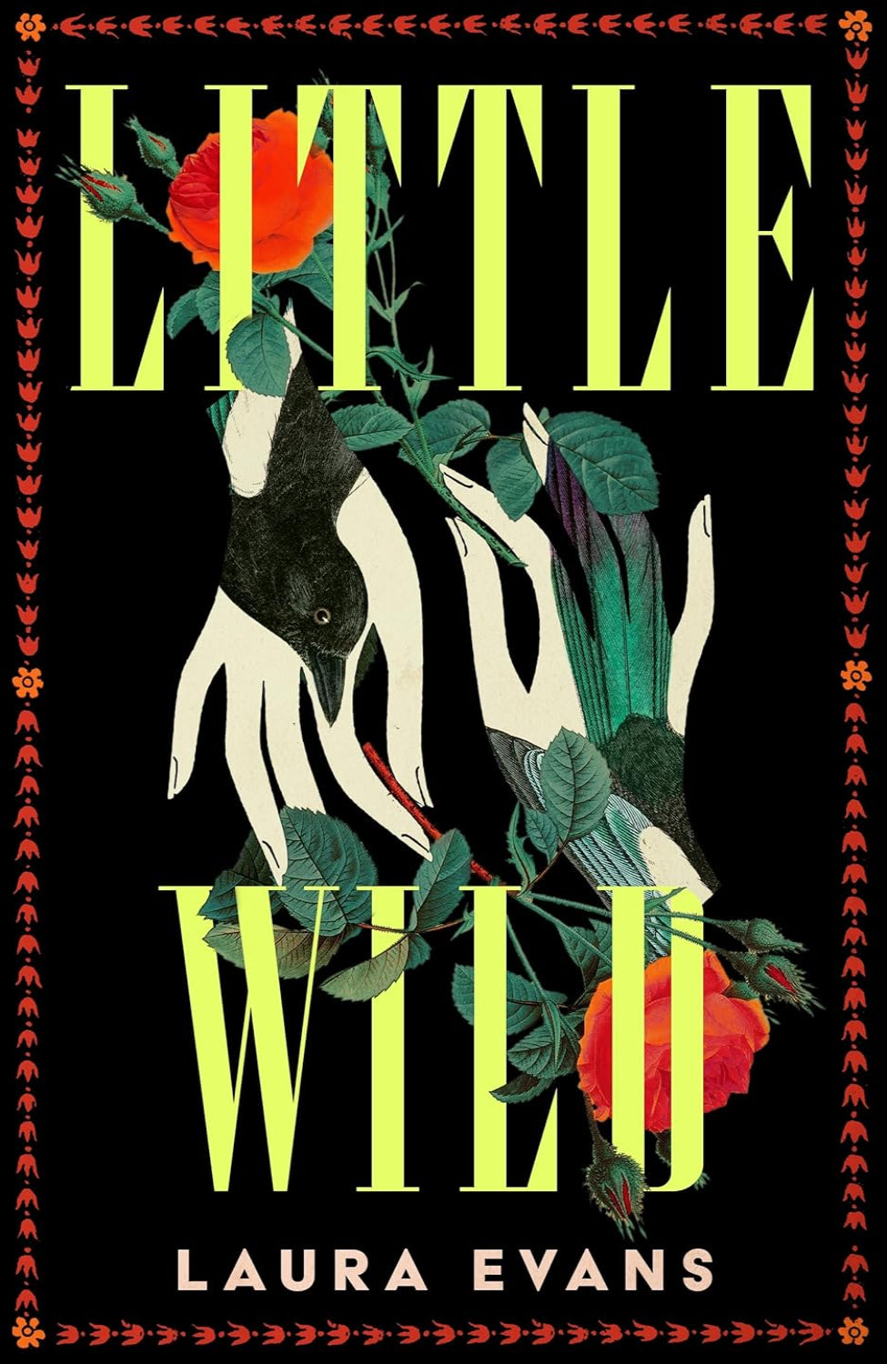 Little Wild By Laura Evans (Hardback)
