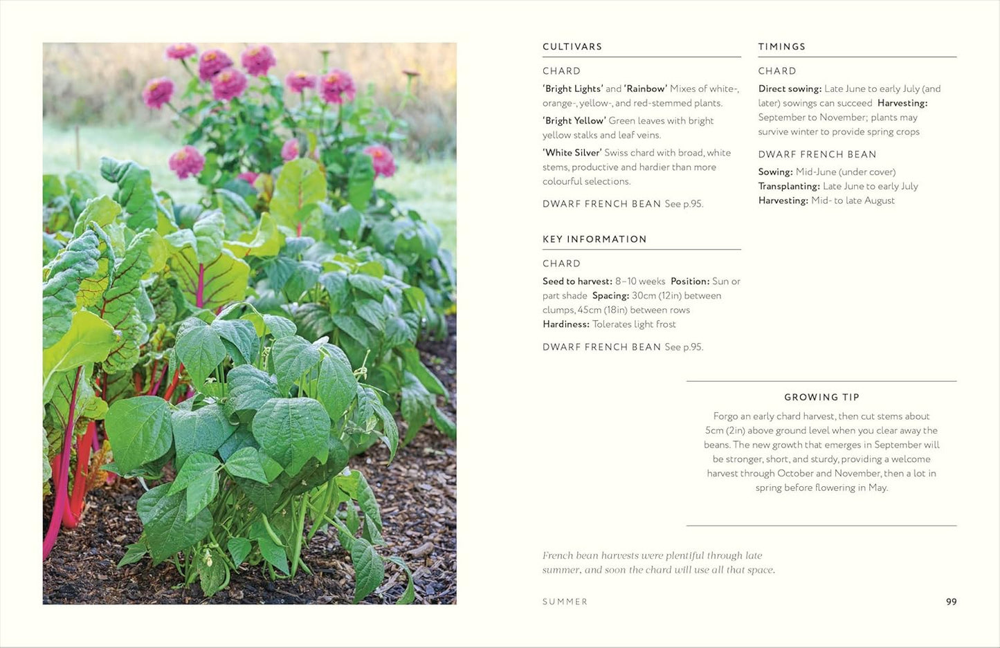 Grow Together: 50 Planting Partnerships to Boost Your Harvests (Hardback)