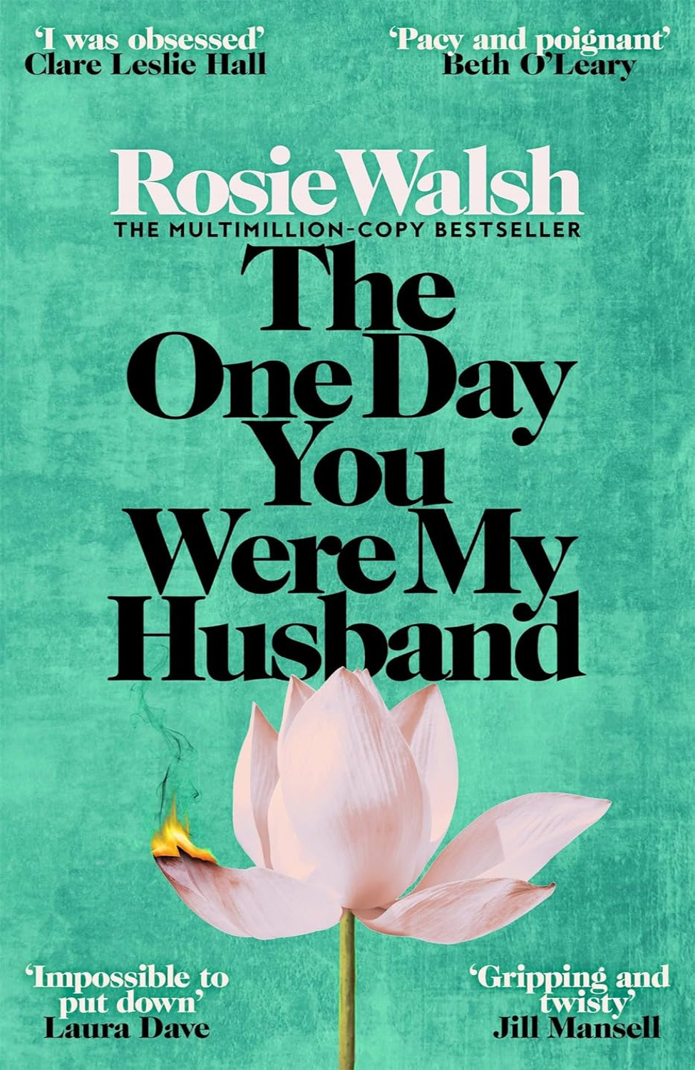 The One Day You Were My Husband By Rosie Walsh (Hardback)