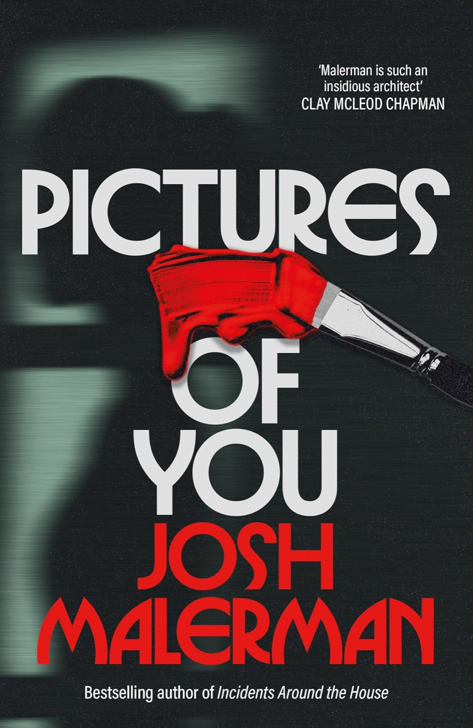 Pictures of You By Josh Malerman (Trade Paperback)
