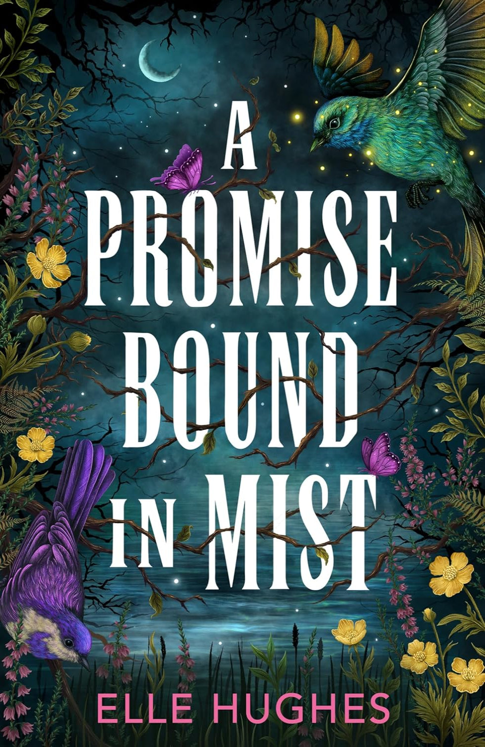 A Promise Bound in Mist By Elle Hughes (Hardback)