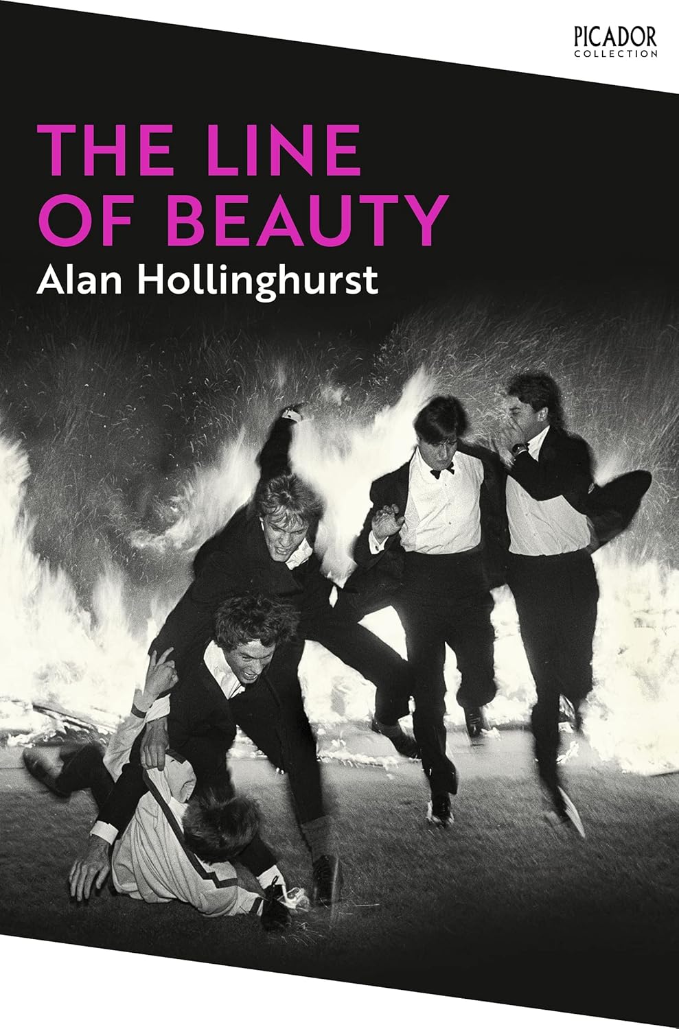 The Line of Beauty By Alan Hollinghurst