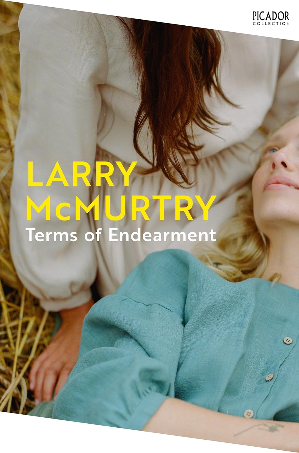 Terms of Endearment By Larry McMurtry - Houston #3