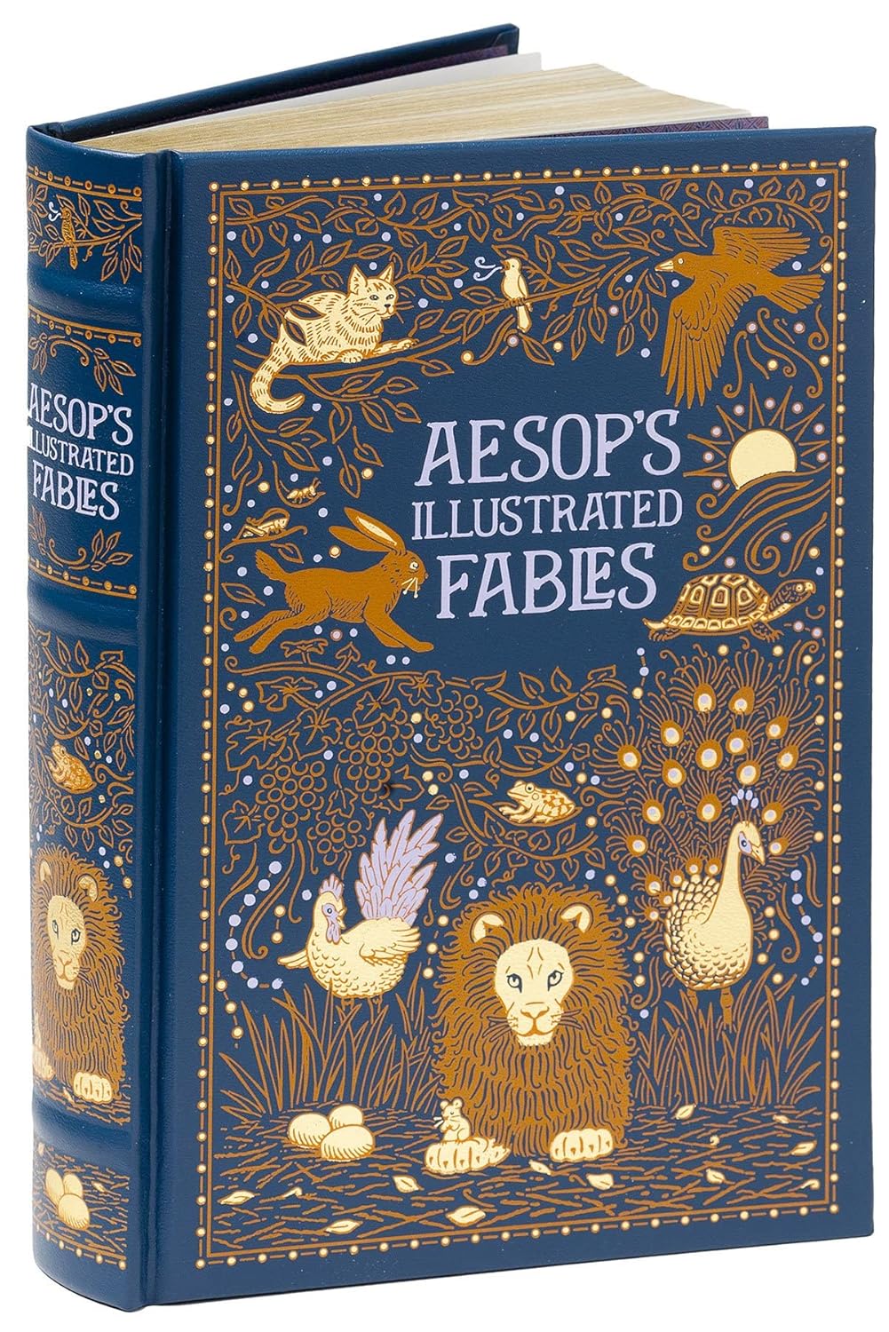 Aesops Illustrated Fables (Barnes & Noble Classic Collection)