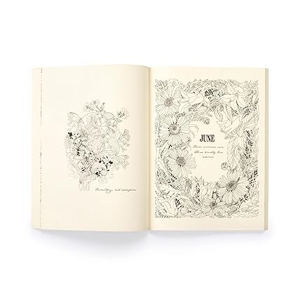 Floribunda Year: A Flower Colouring Companion (Paperback)