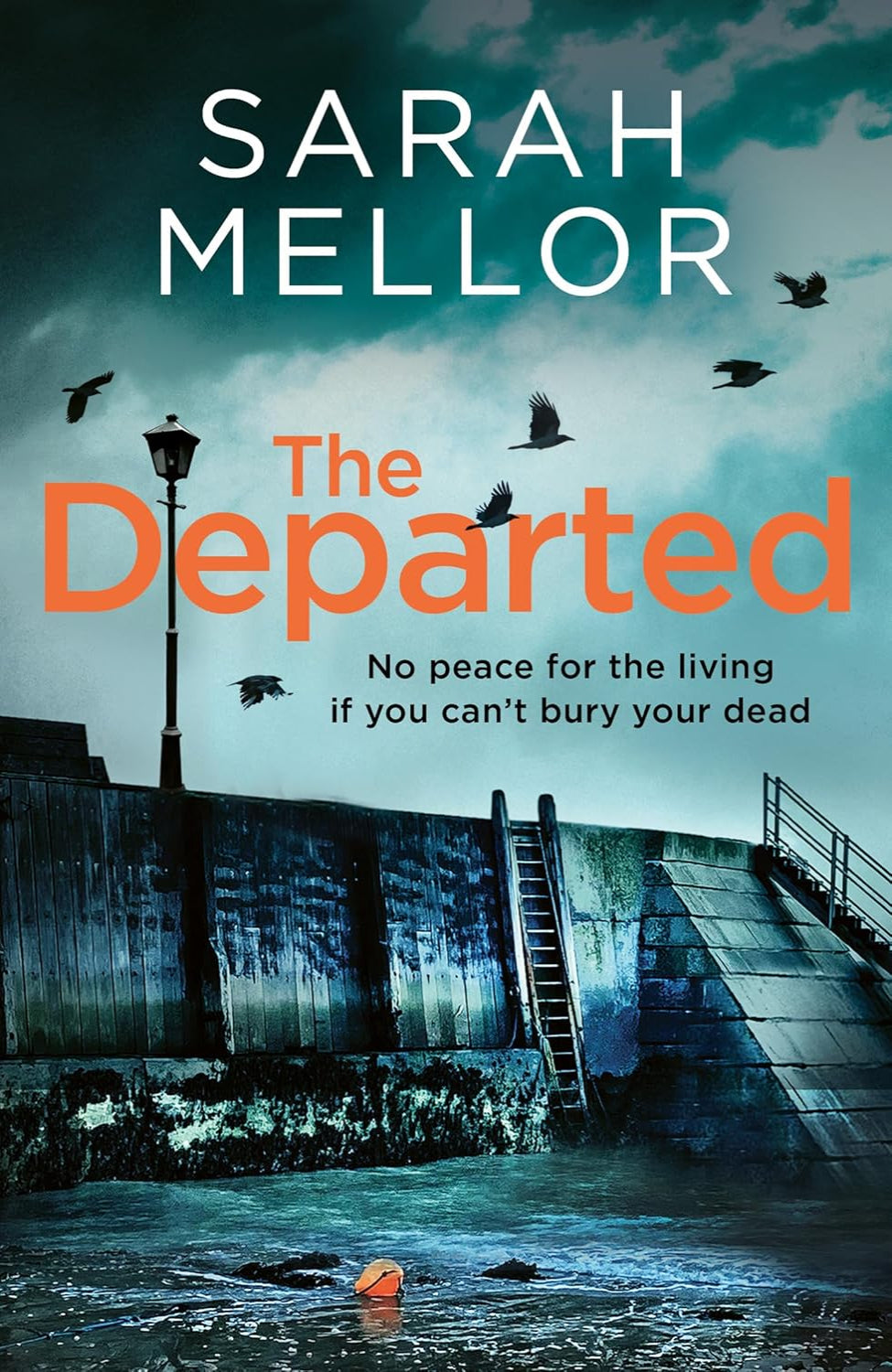 The Departed By Sarah Mellor