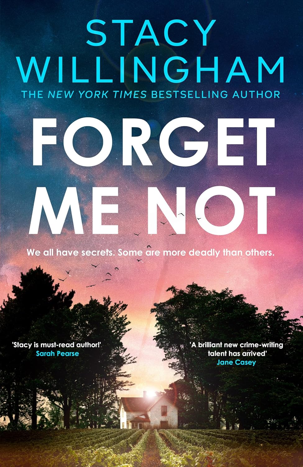 Forget Me Not By Stacy Willingham
