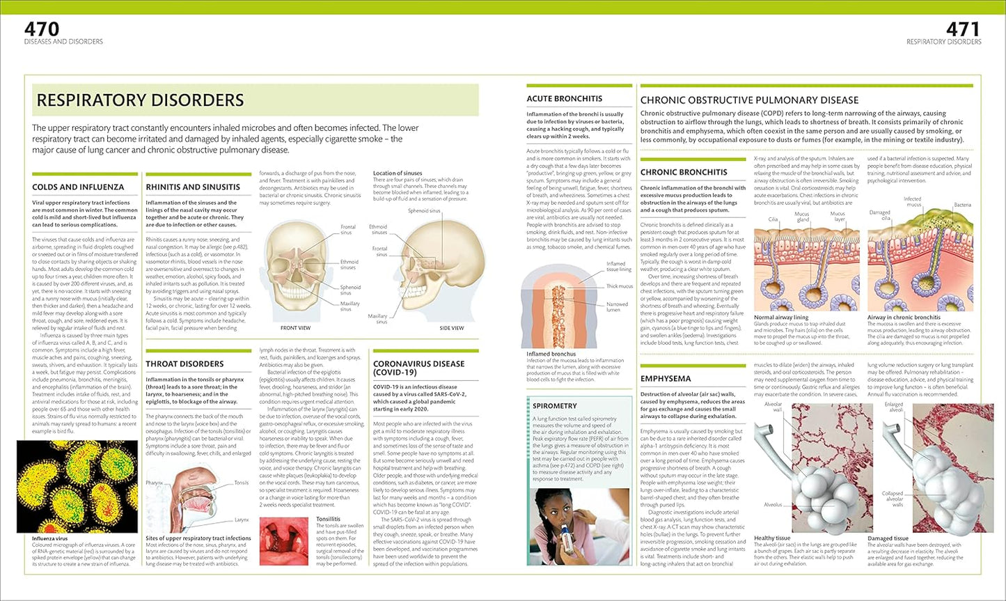 The Complete Human Body: The Definitive Visual Guide - DK Human Body Guides (Hardback)