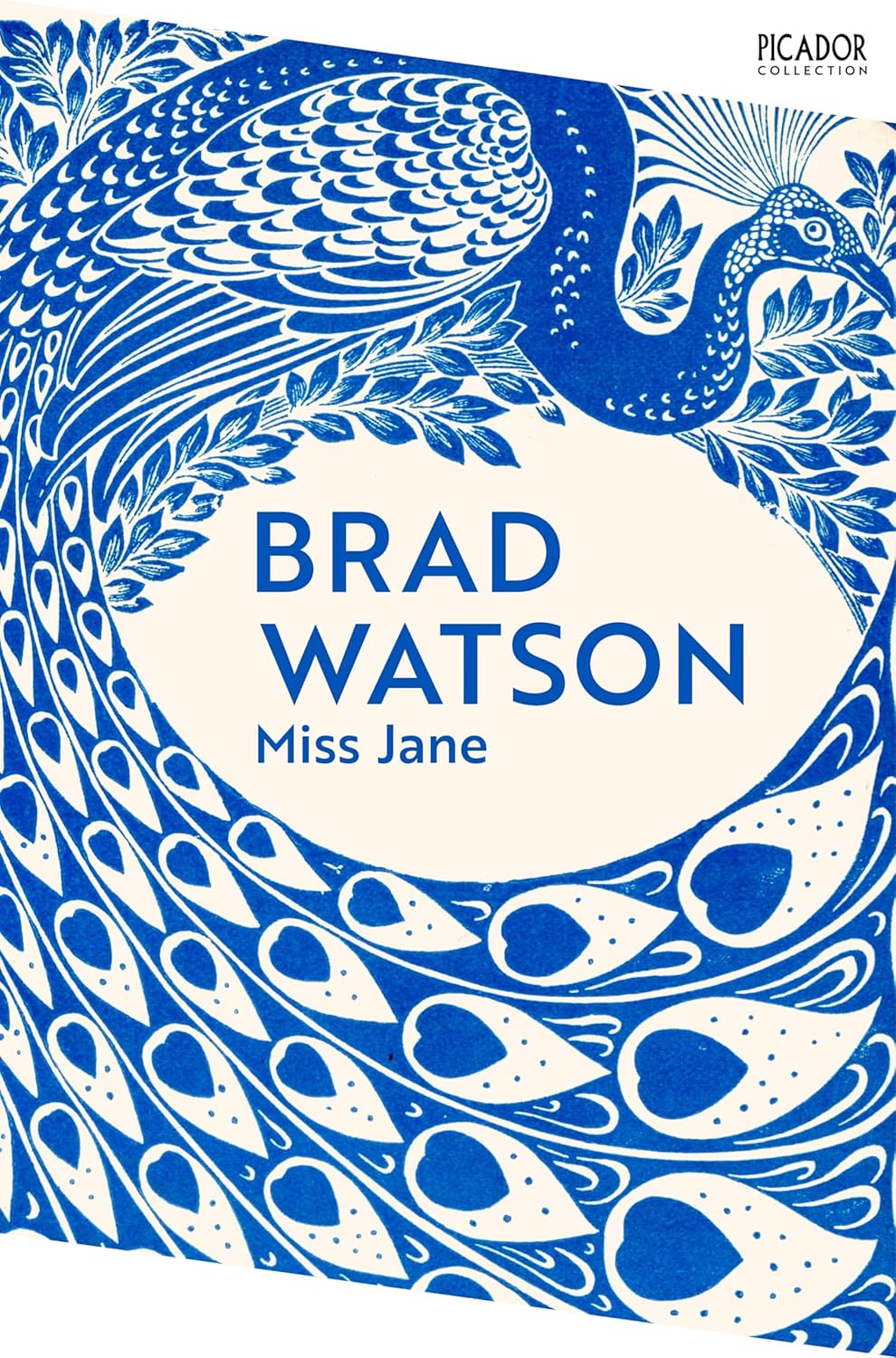 Miss Jane By Brad Watson