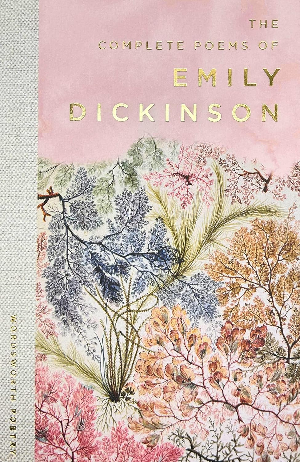 The Selected Poems of Emily Dickinson - Wordsworth Poetry Library