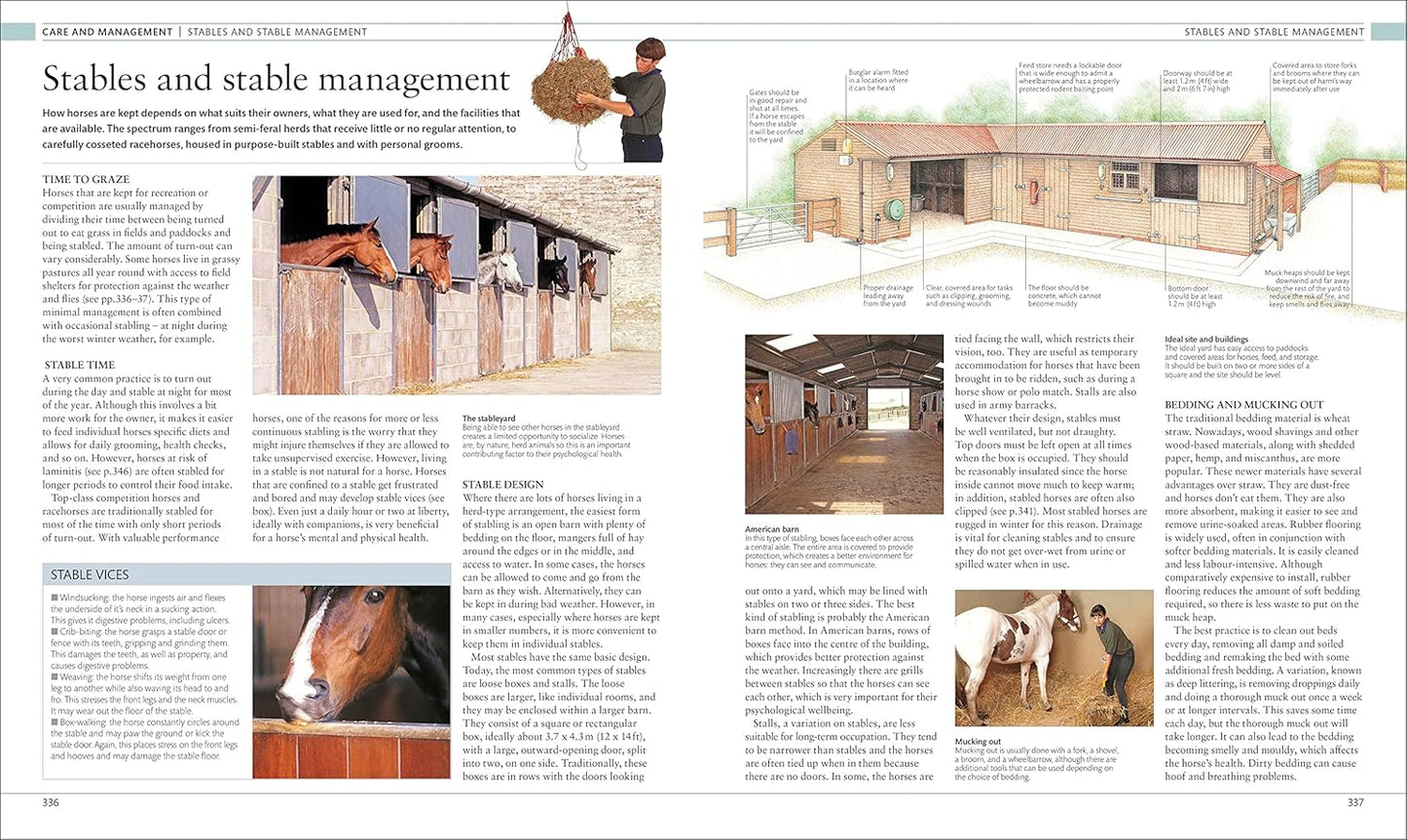 The Horse Encyclopedia - DK Pet Encyclopedias (Hardback)