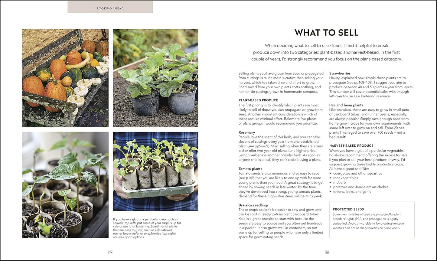 Grow Food for Free: The easy, sustainable, zero-cost way to a plentiful harvest (Hardback)