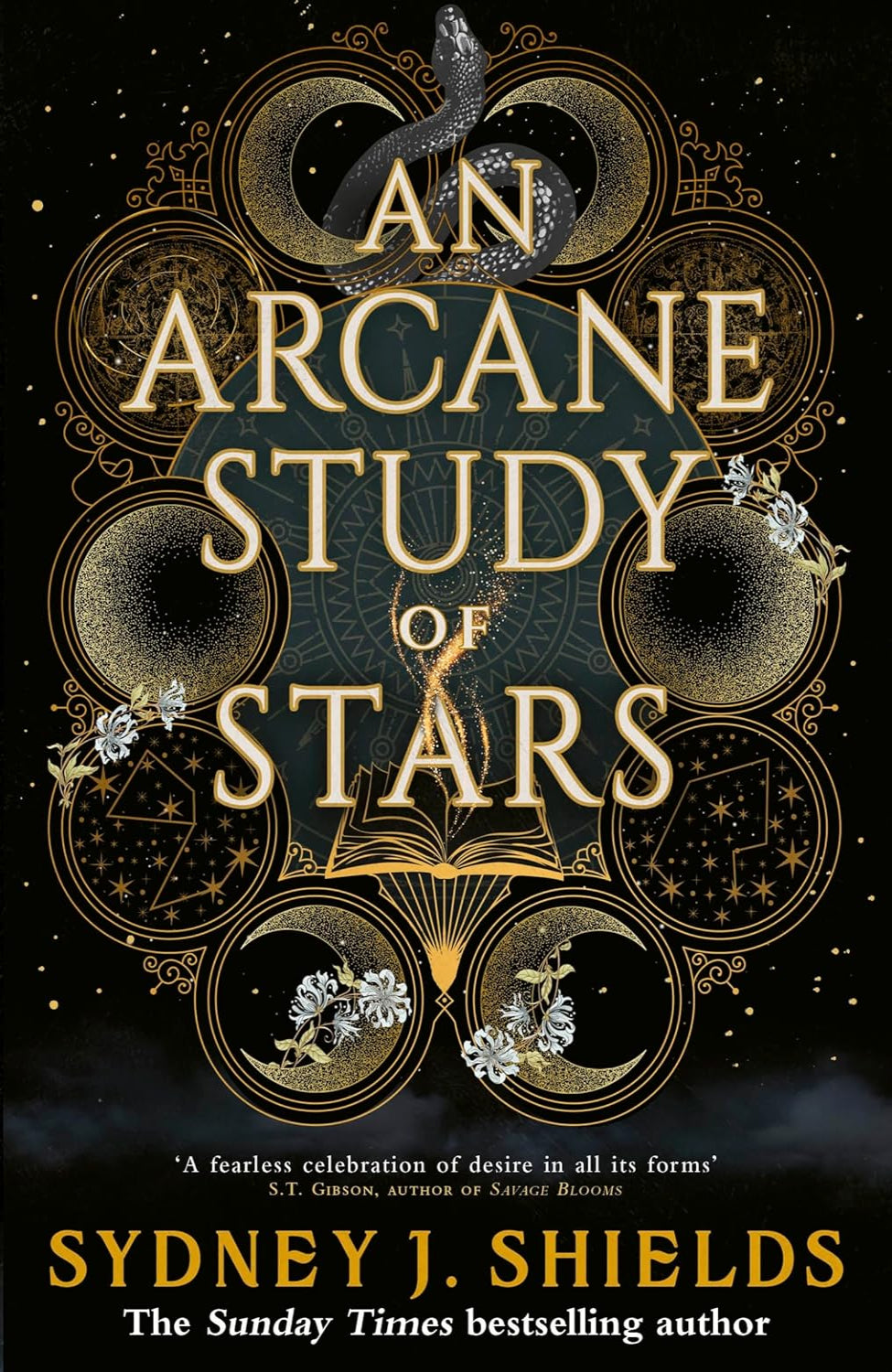 An Arcane Study of Stars By Sydney J. Shields (Hardback)