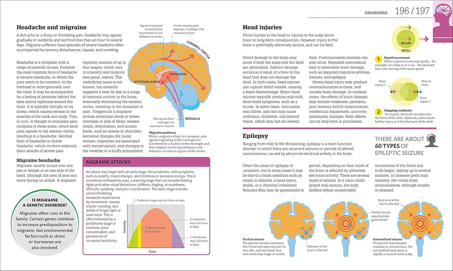 How the Brain Works: The Facts Visually Explained - DK How Stuff Works (Hardback)