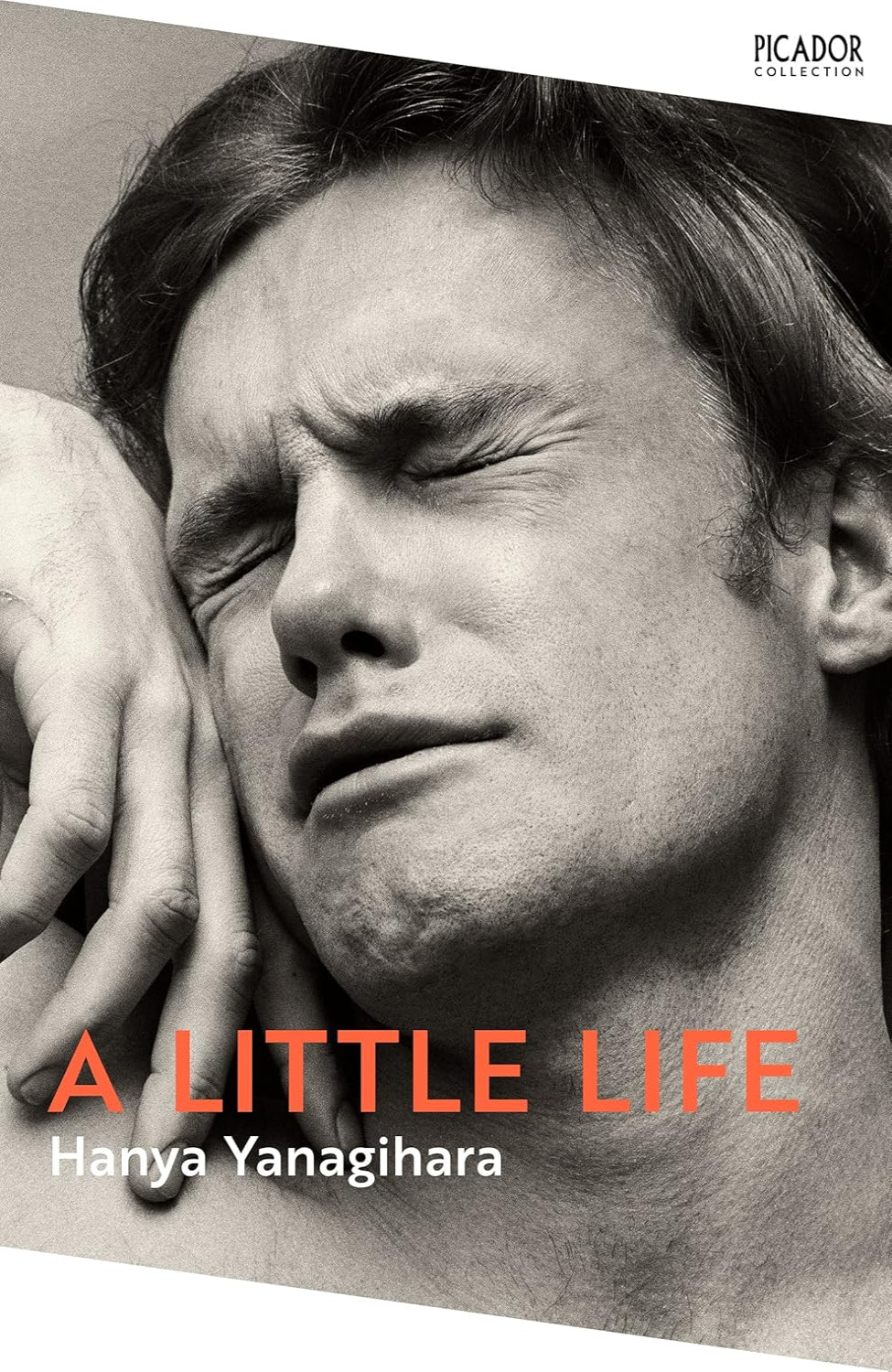 A Little Life By Hanya Yanagihara