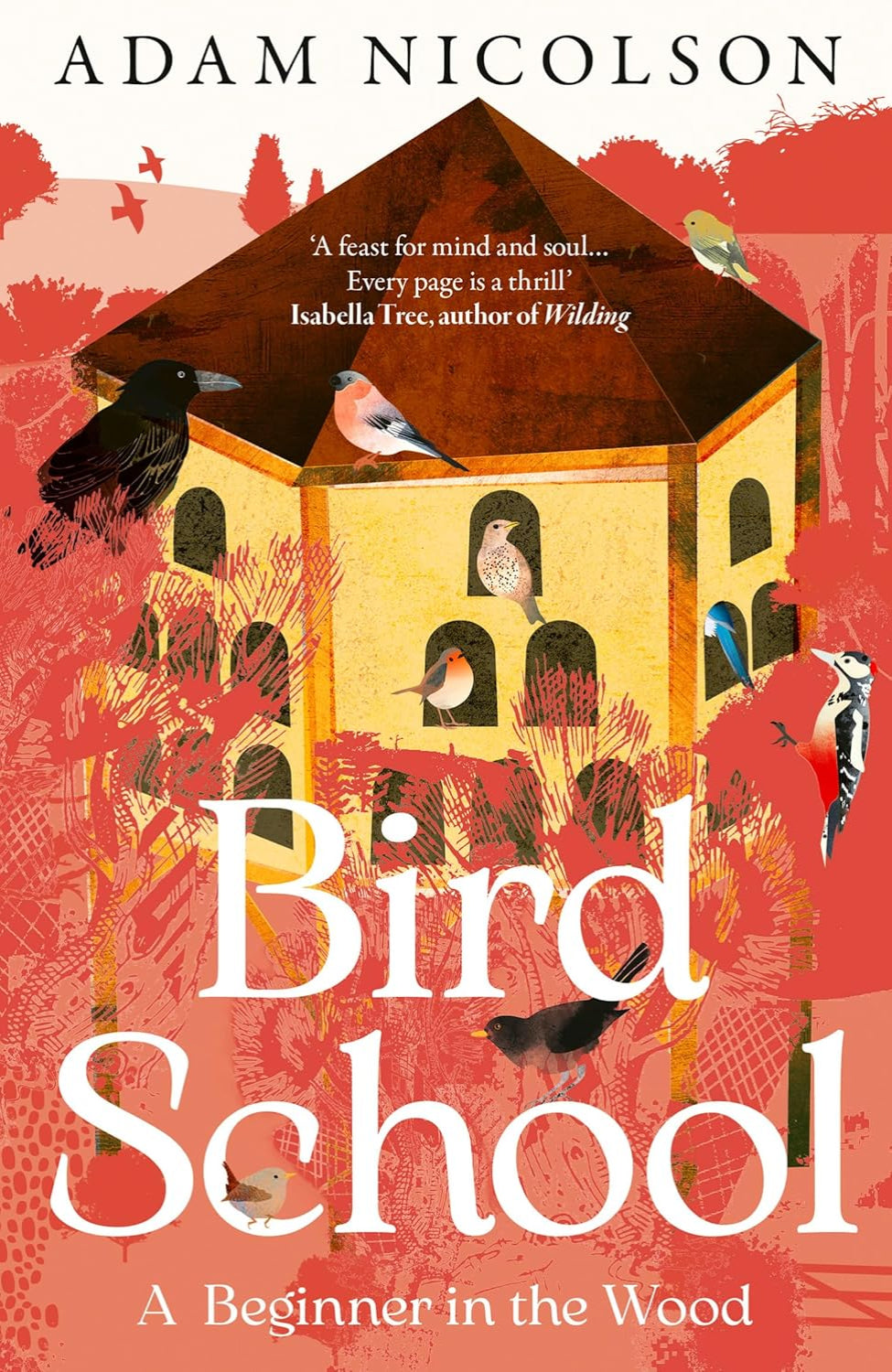 Bird School: A Beginner in the Wood By Adam Nicolson
