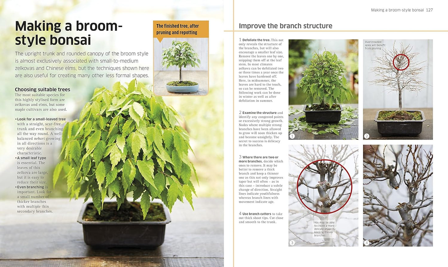 Bonsai (Hardback)