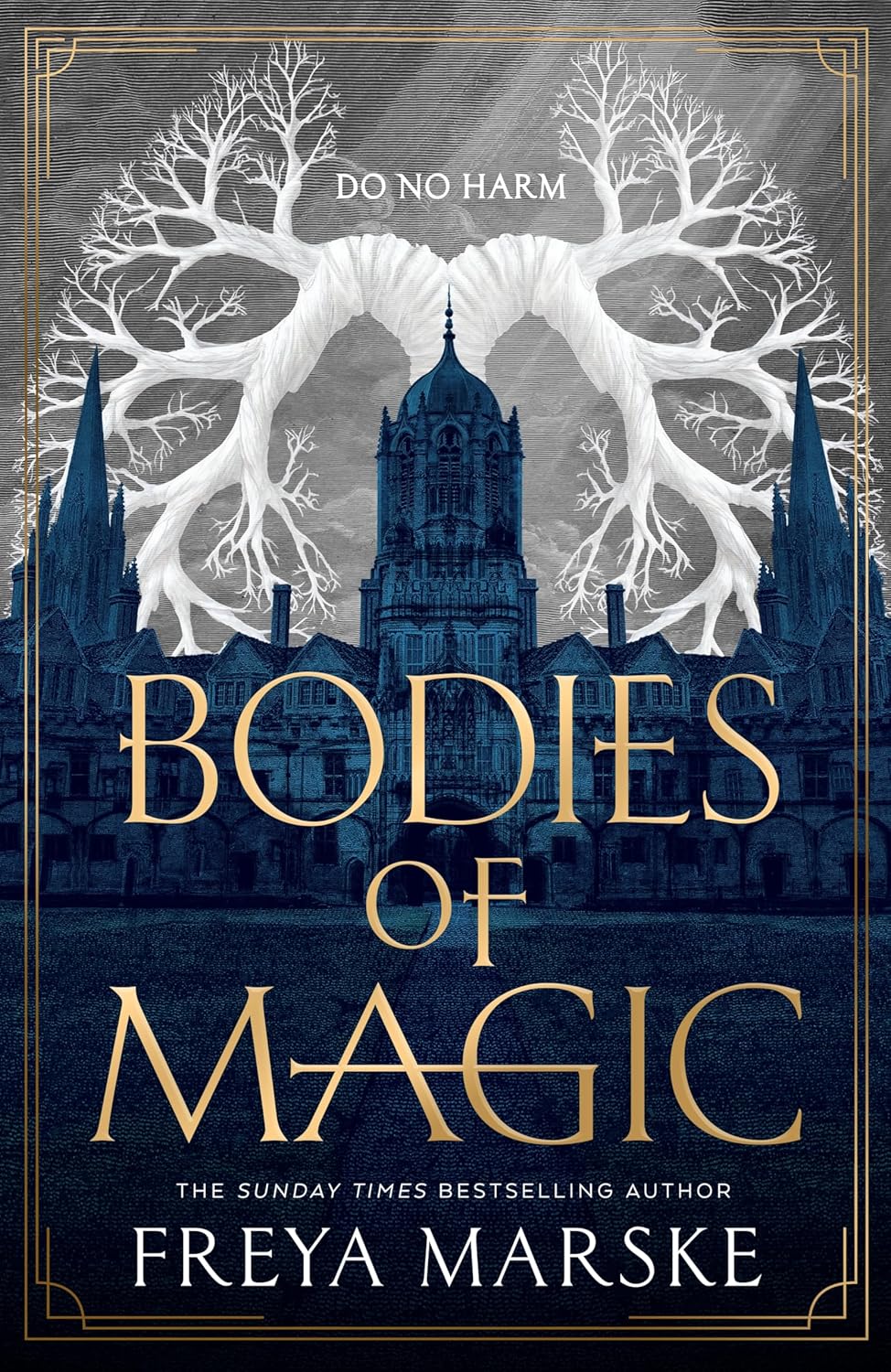 Bodies of Magic By Freya Marske (Hardback)