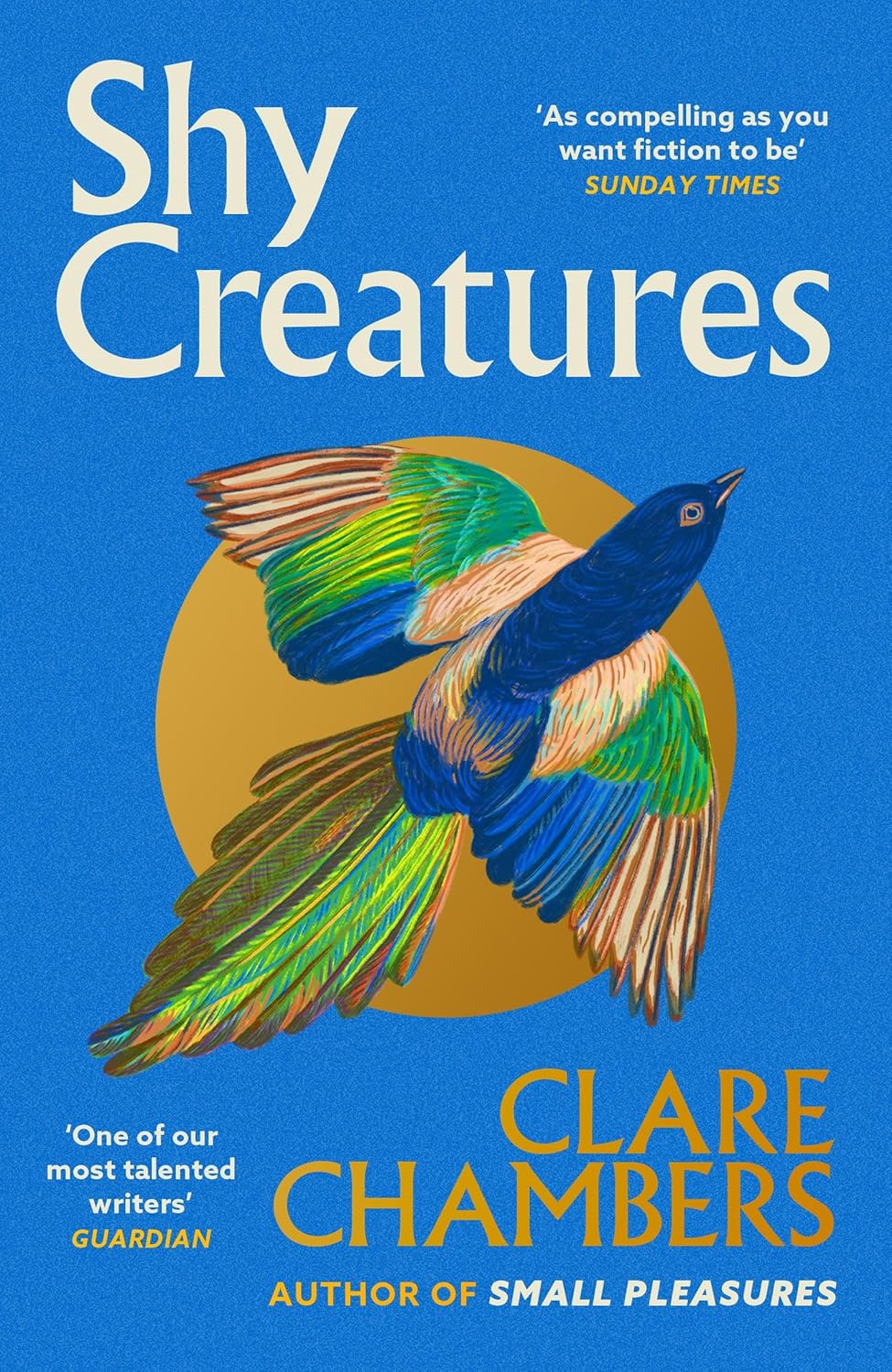 Shy Creatures By Clare Chambers