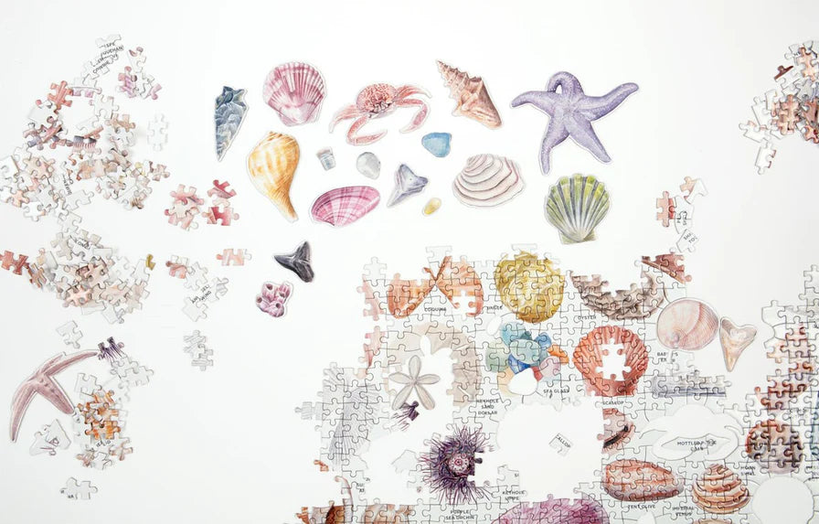 The Beachcomber's Companion 1000 Piece Puzzle With Shaped Pieces (Jigsaw Products)