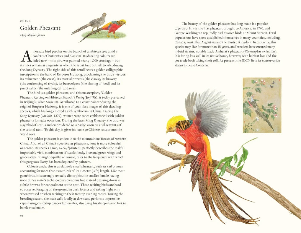 Around the World in 80 Birds (Paperback)