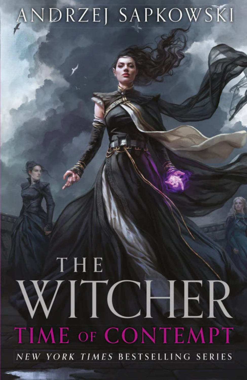 The Time of Contempt By Andrzej Sapkowski - The Witcher #2 (Collector's Hardback Edition)
