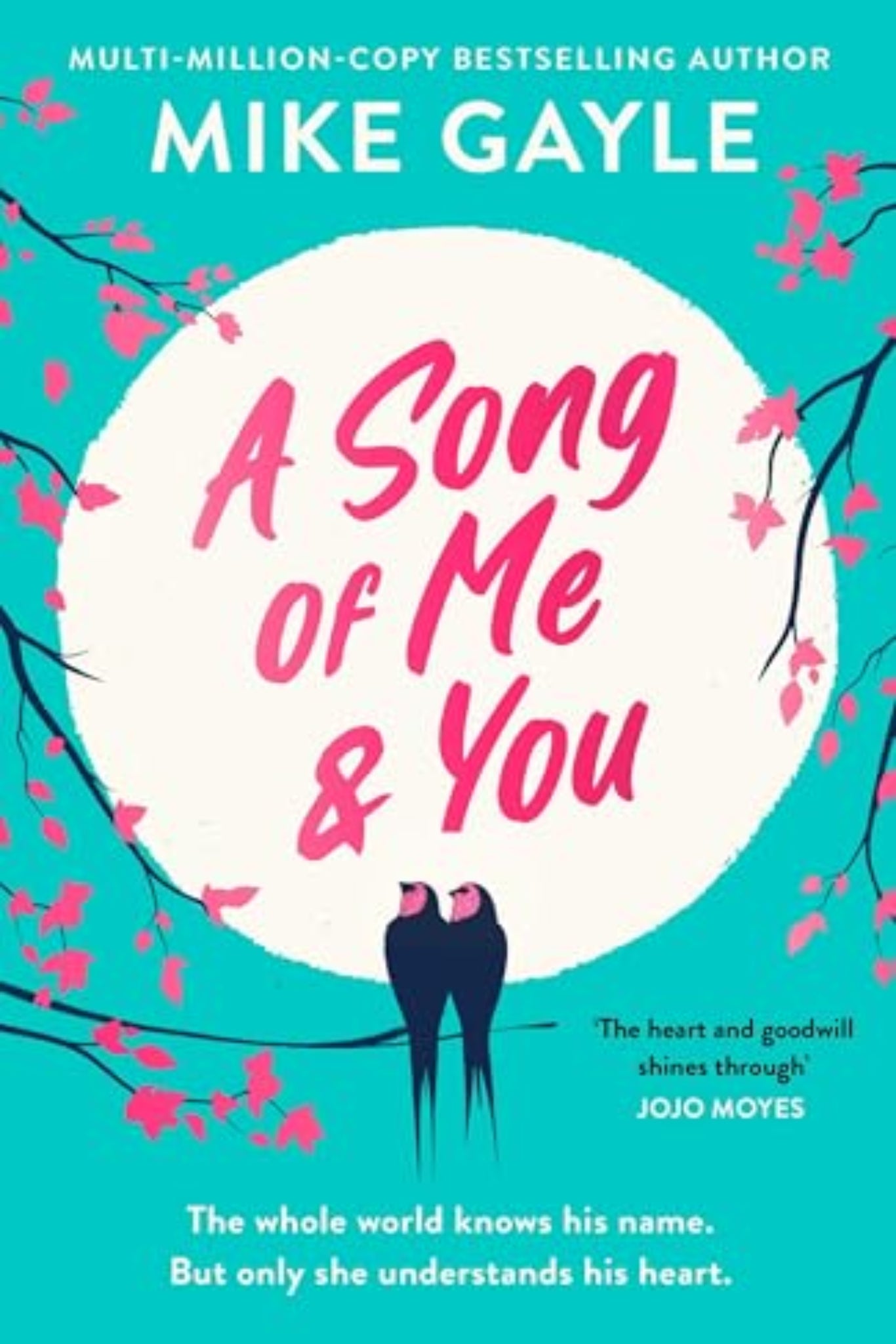 A Song of Me and You By Mike Gayle
