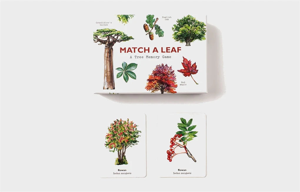 Match a Leaf - A Tree Memory Game
