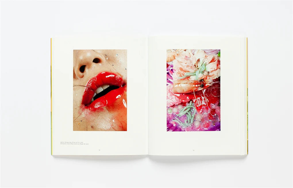 Girl on Girl: Art and Photography in the Age of the Female Gaze (Paperback)