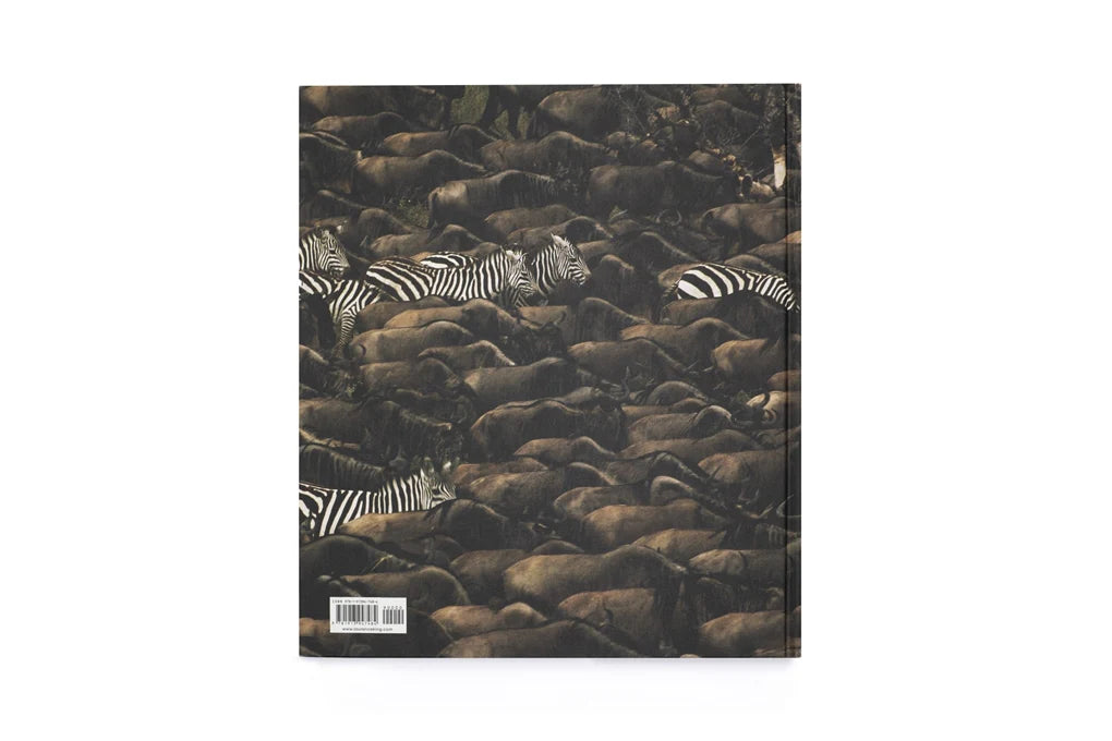 Into the Wild: The Story of the World's Greatest Wildlife Photography (Hardback)
