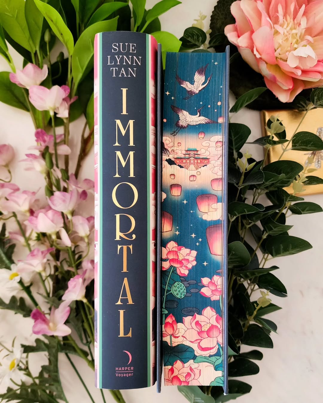 Immortal by sue lynn tan Fairyloot edition