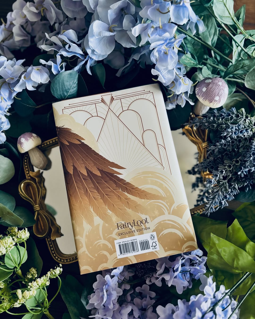 The Wind Weaver Fairyloot edition
